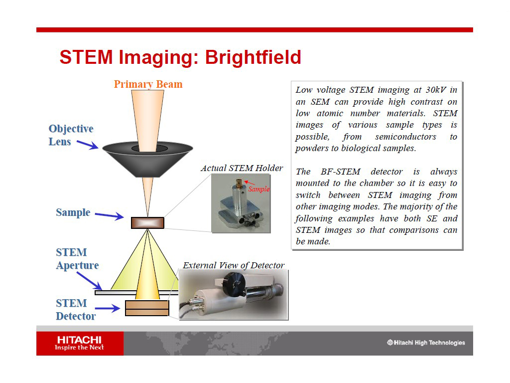 STEM Imaging: Brightfield