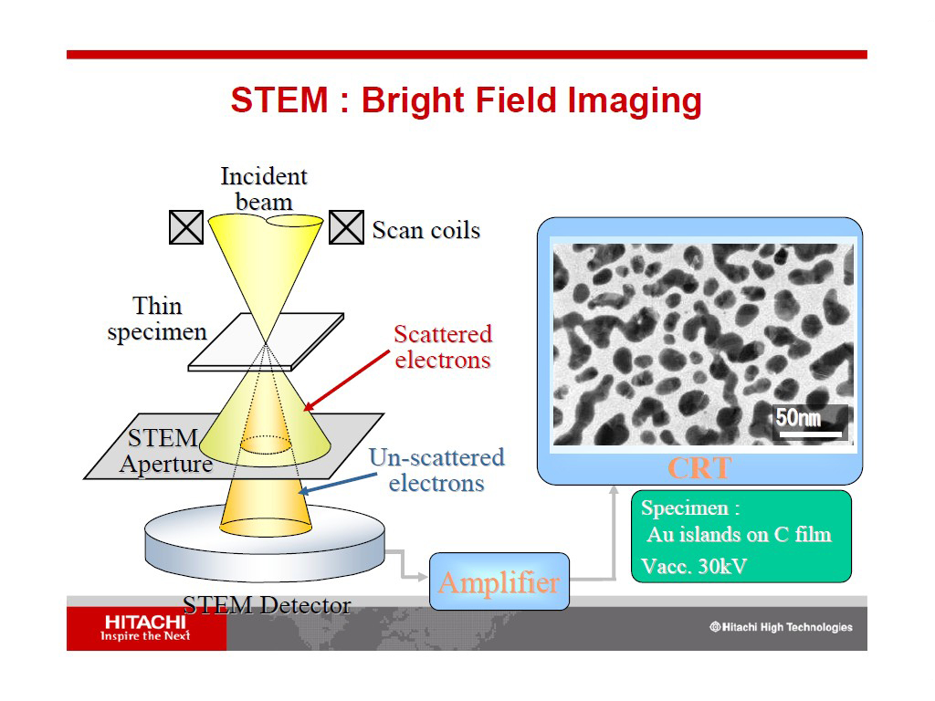 STEM: Bright Field Imaging