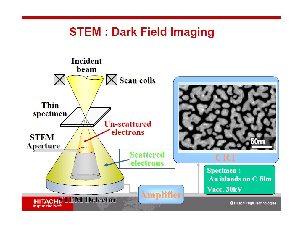 STEM: Dark Field Imaging
