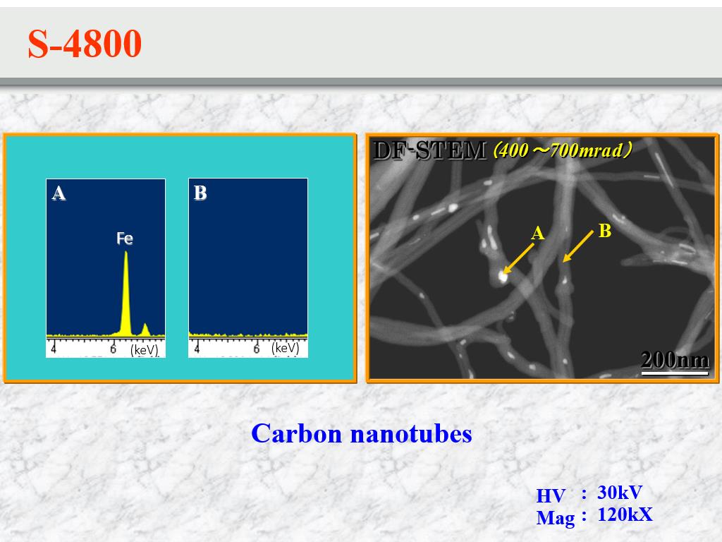 S-4800 Carbon nanotubes