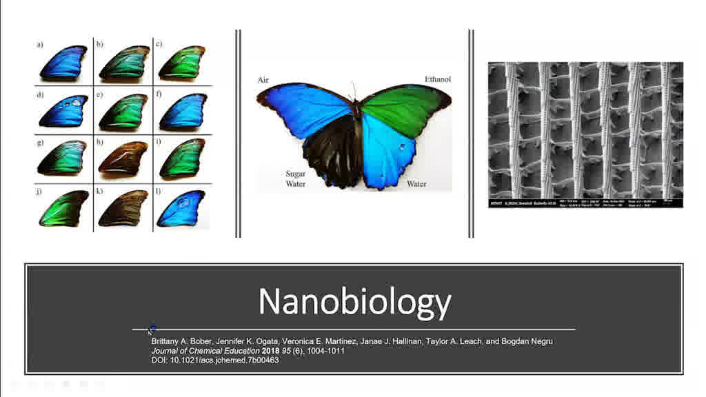 Nanobiology