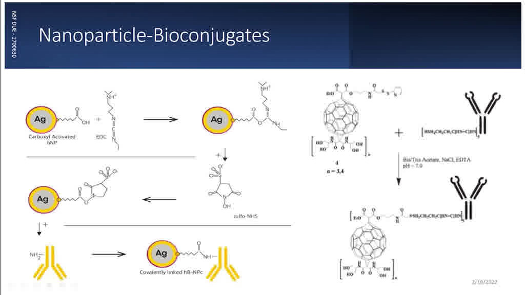 Nanoparticle-Bioconjugates
