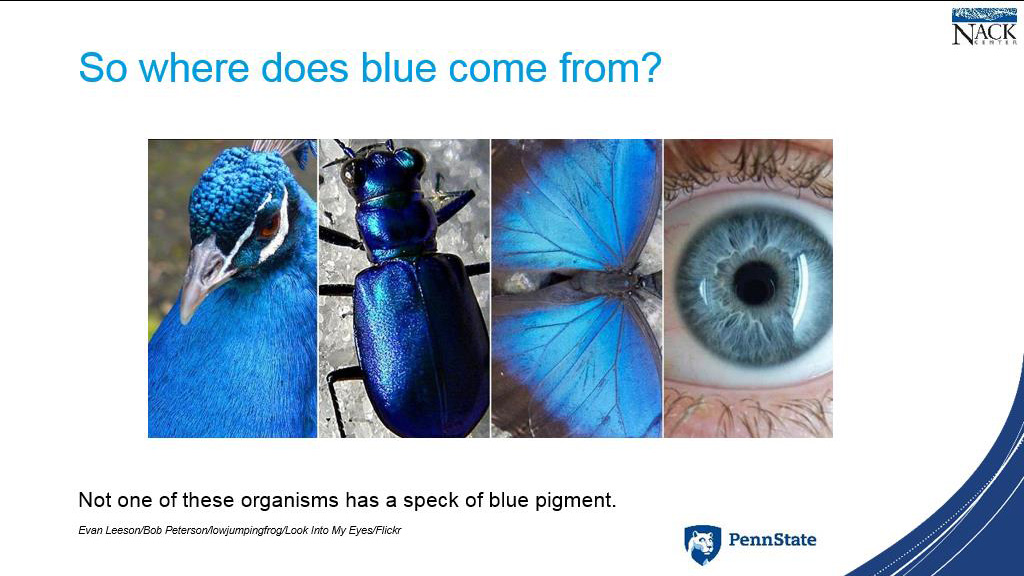 So where does blue come from?