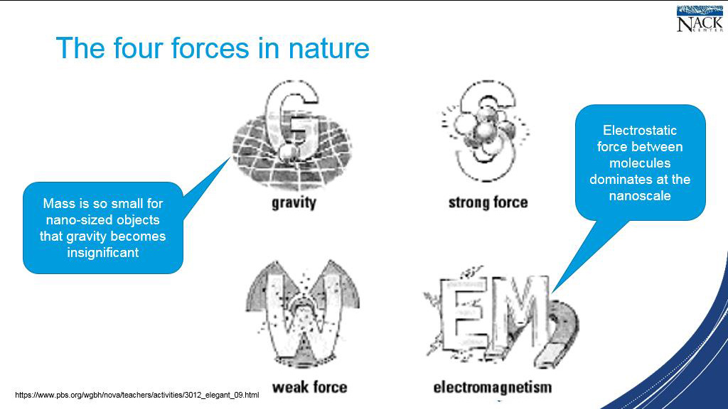 The four forces in nature