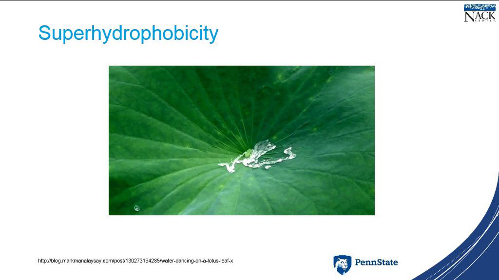 Superhydrophobicity