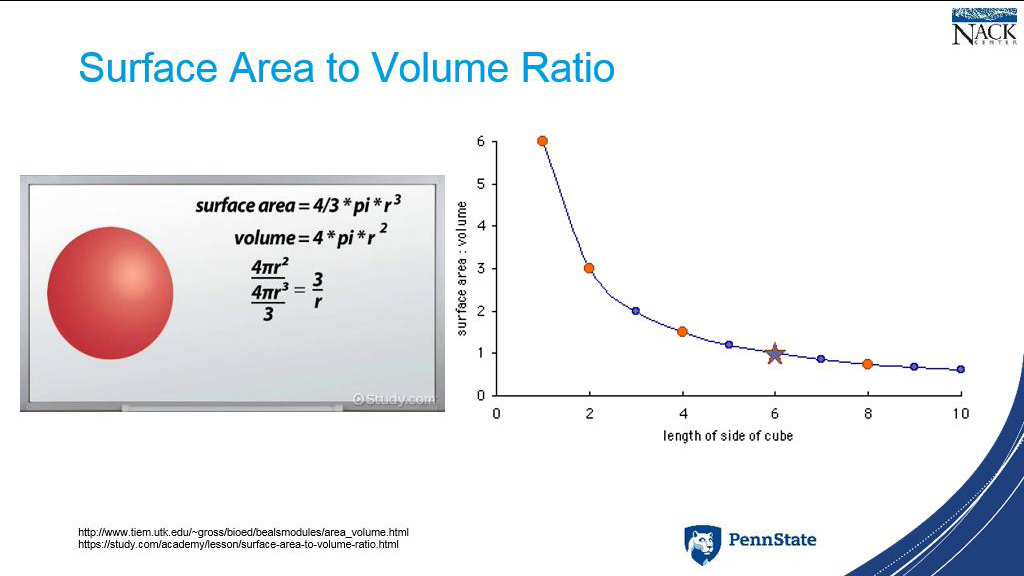 Surface Area to Volume Ratio