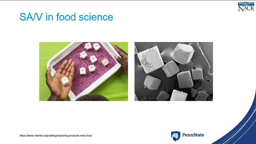 SA/V in food science