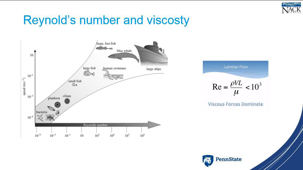 Reynold's number and viscosity