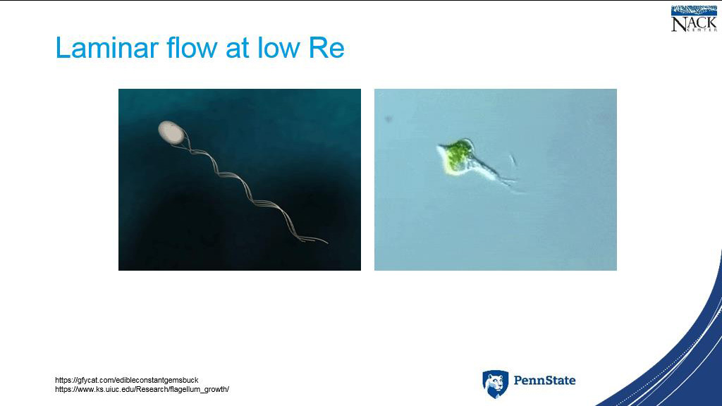 Laminar flow at low Re