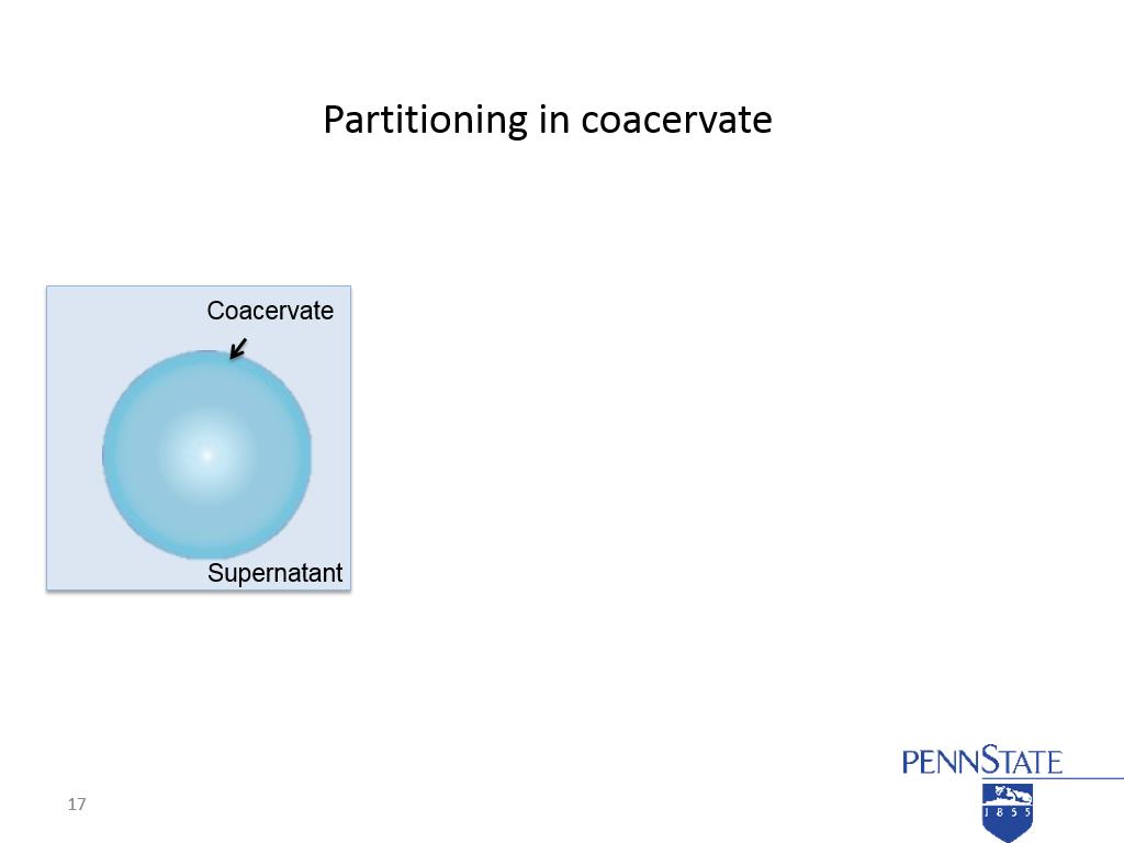 Partitioning in coacervate