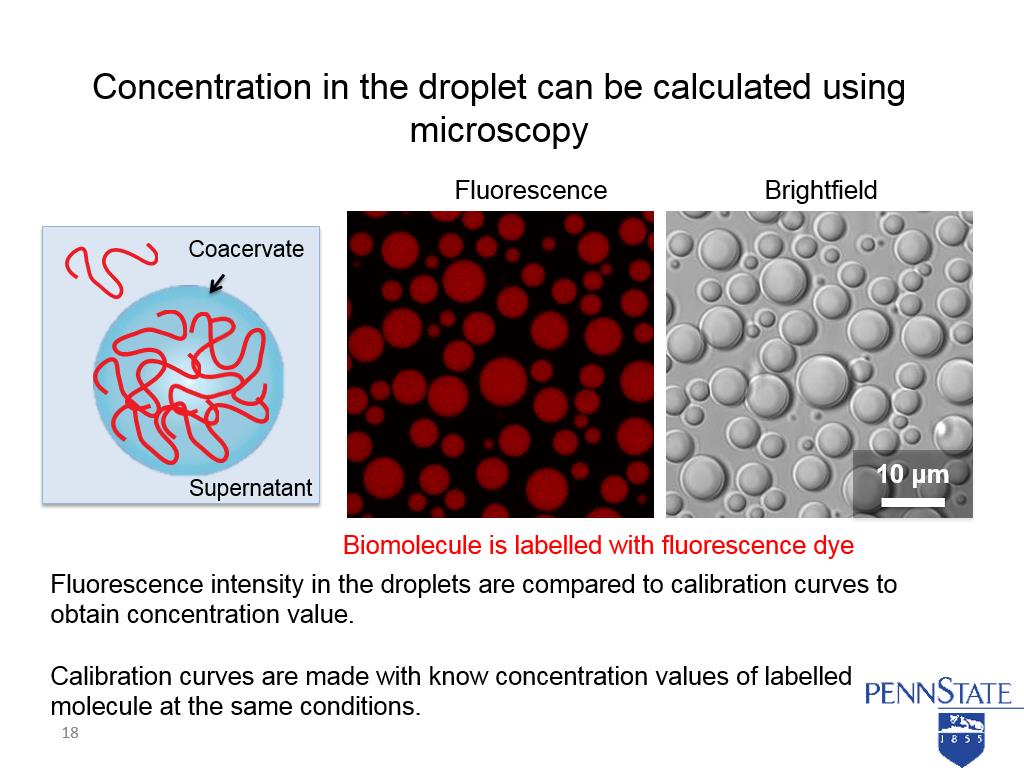Concentration in the droplet can be calculated using microscopy