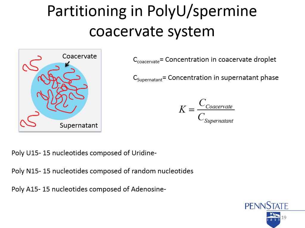 Partitioning in PolyU/spermine coacervate system