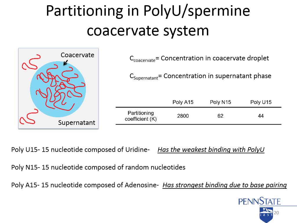 Partitioning in PolyU/spermine coacervate system