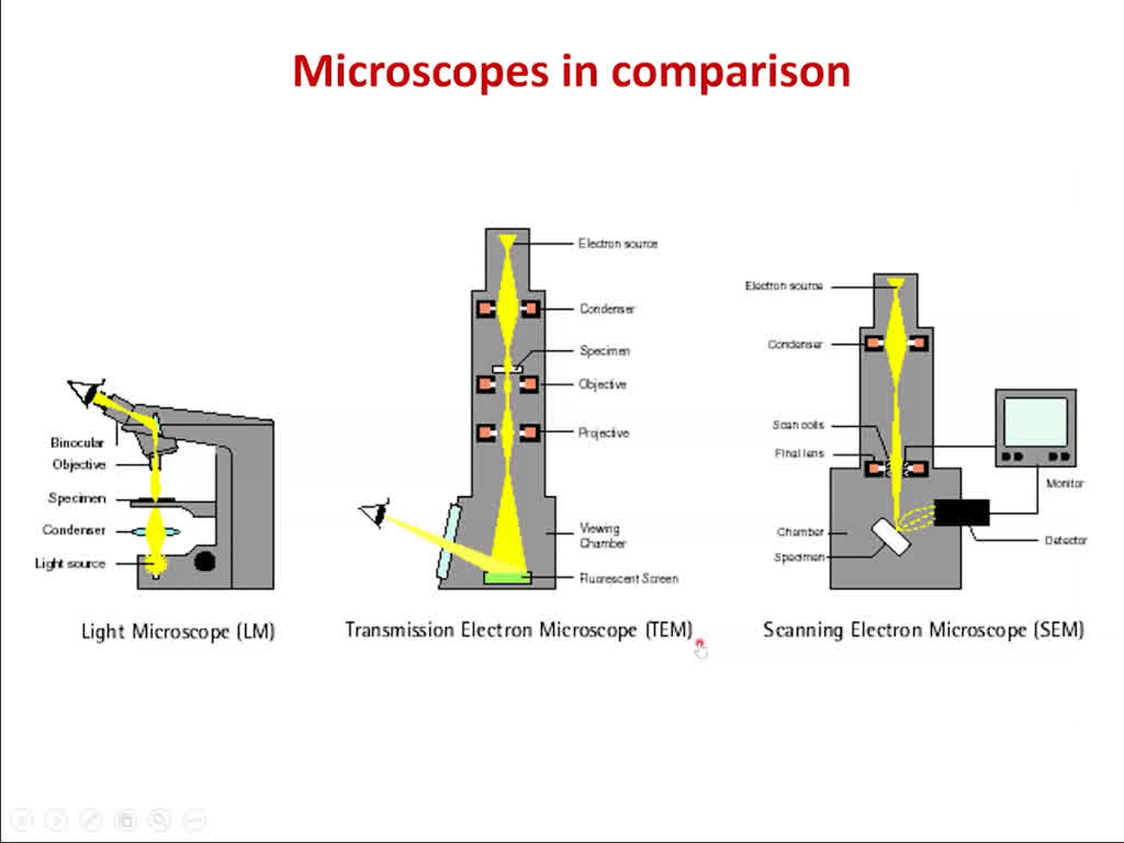 Microscopes in comparison