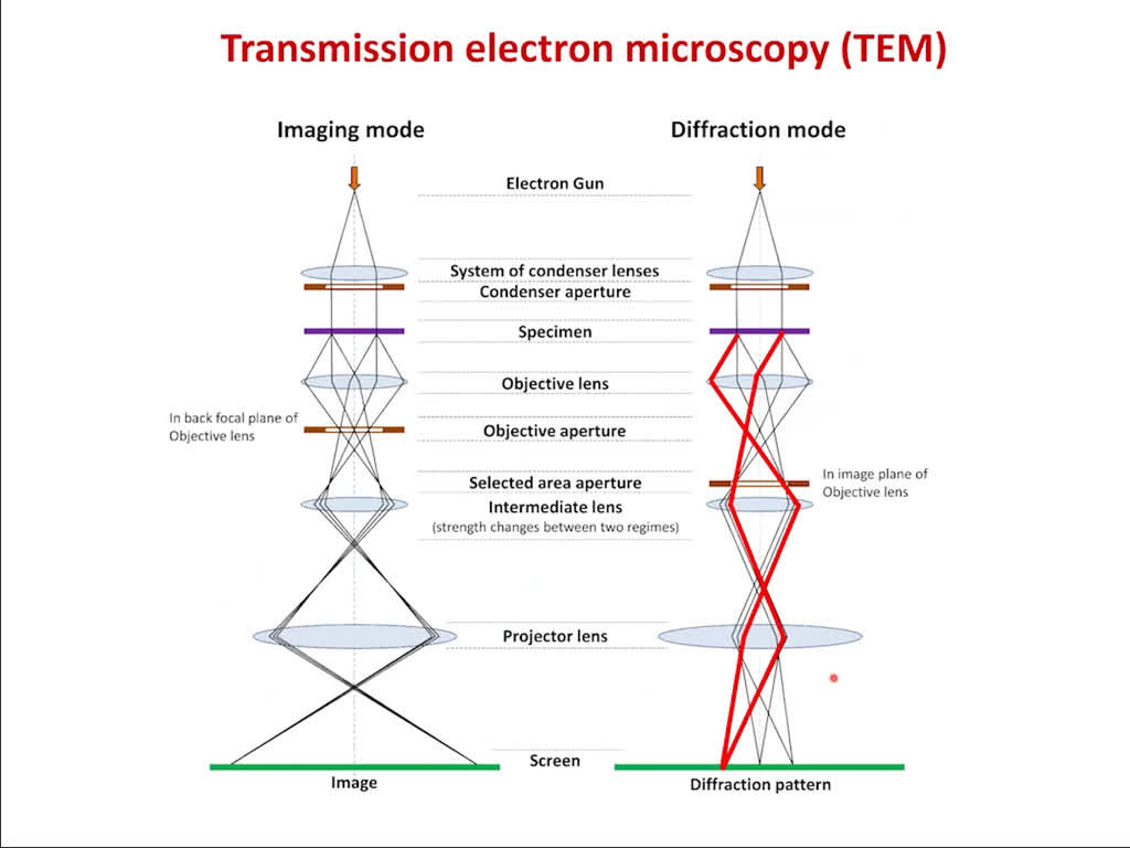 Transmission electron microscopy (TEM)