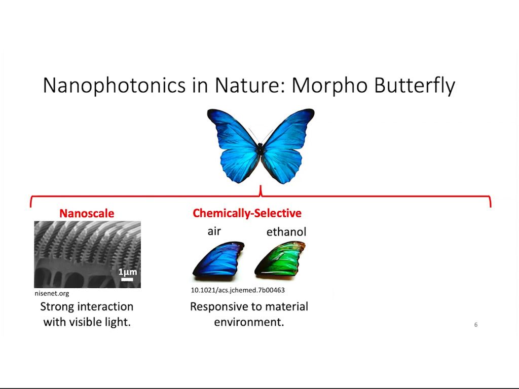 Nanophotonics in Nature: Morpho Butterfly