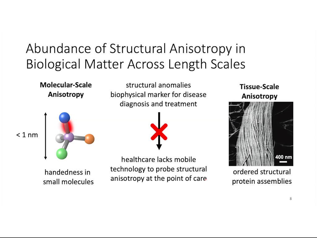 Abundance of Structural Anisotropy