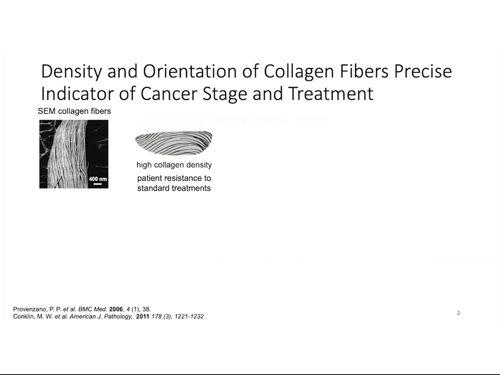 Density and Orientation of Collagen Fibers