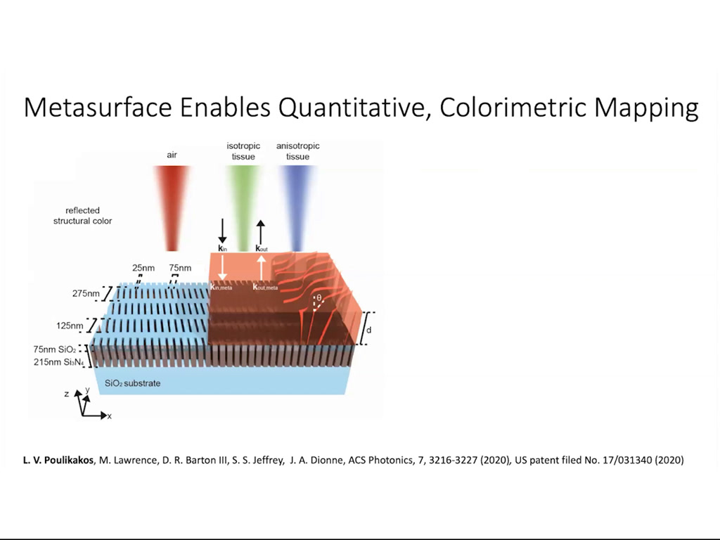 Metasurface Enables Quantitative, Colorimetric Mapping