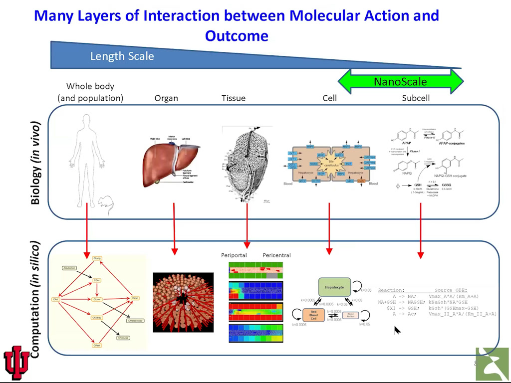 Many Layers of Interaction between Molecular Action and Outcome