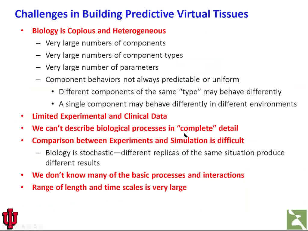 Challenges in Building Predictive Virtual Tissues