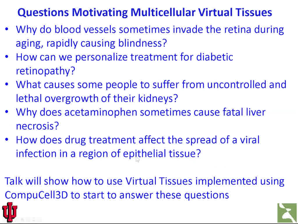 Questions Motivating Multicellular Virtual Tissues