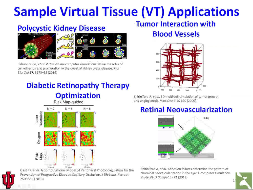 Sample Virtual Tissue (VT) Applications