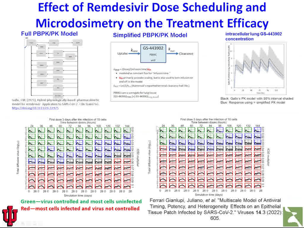 Effect of Remdesivir Dose Scheduling and Microdosimetry
