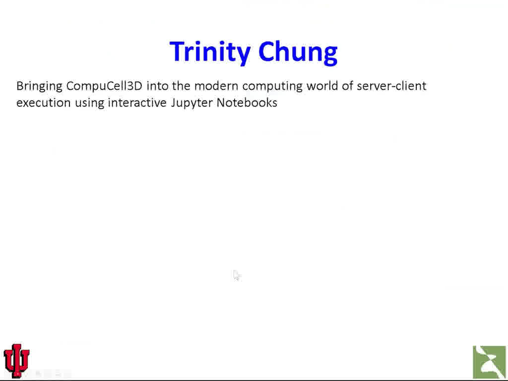 Trinity Chung
