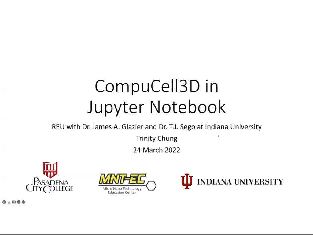CompuCell3D in Jupyter Notebook