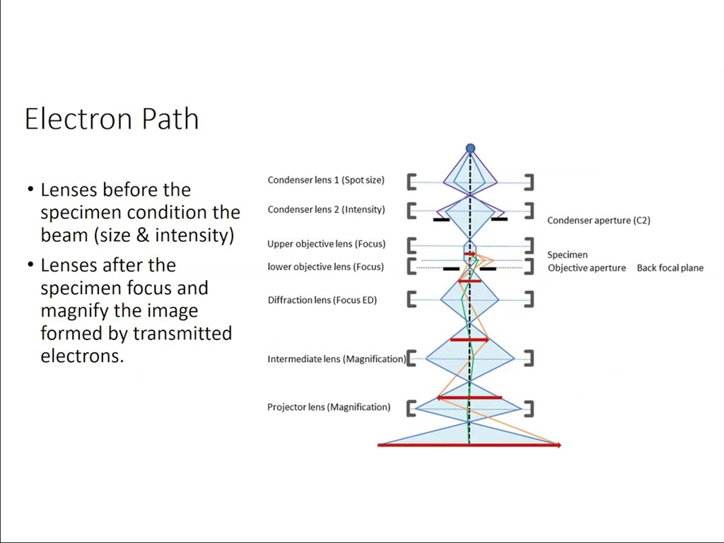 Electron Path