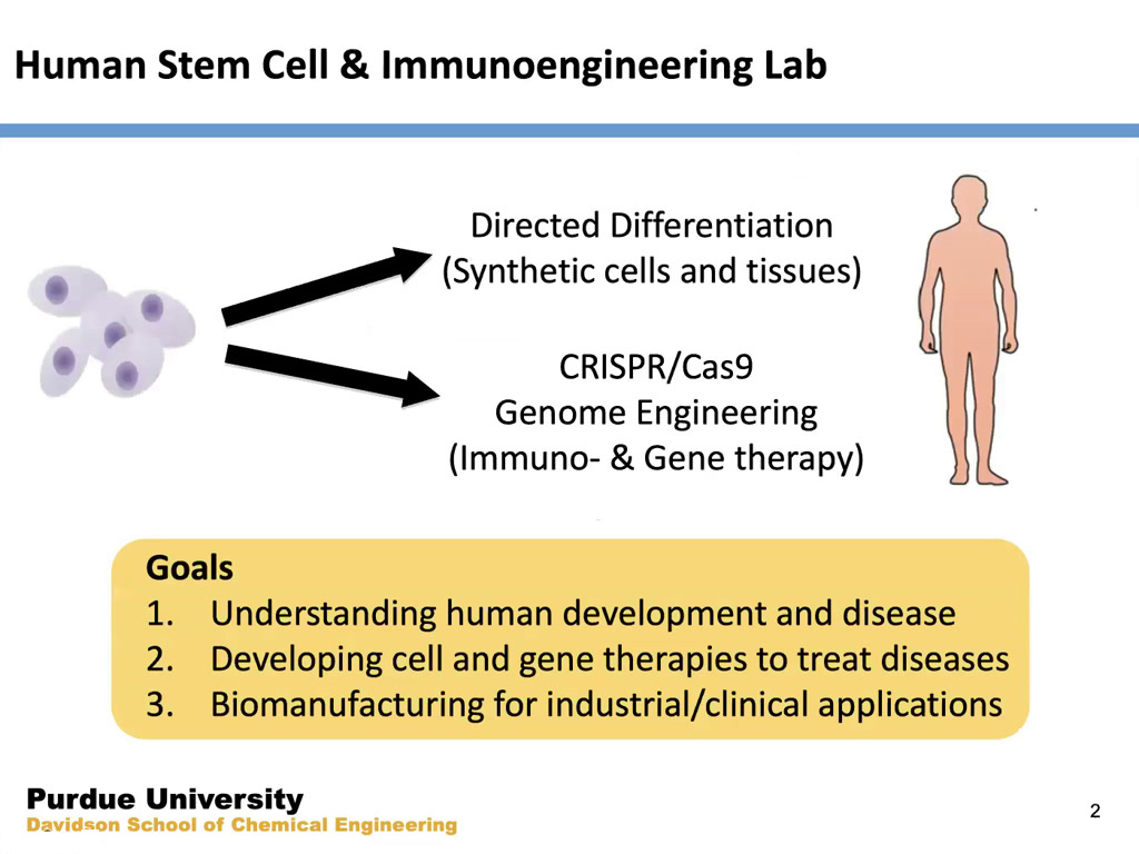 Human Stem Cell & Immunoengineering Lab