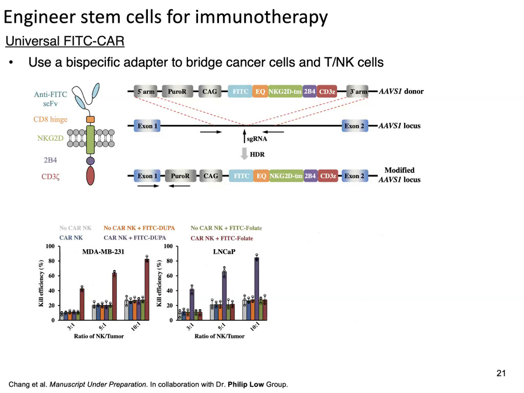 Engineer stem cells for immunotherapy