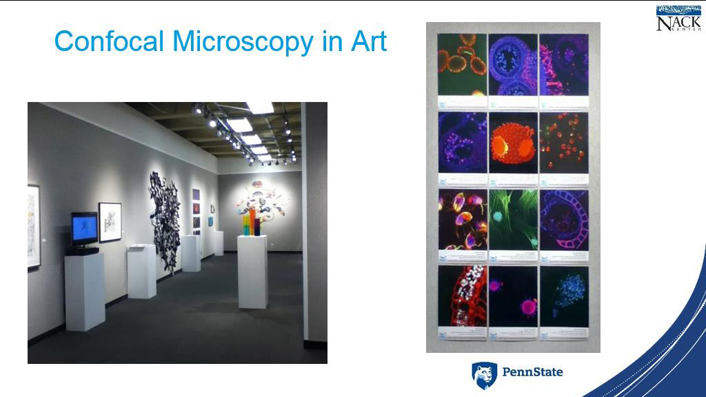 Confocal Microscopy in Art