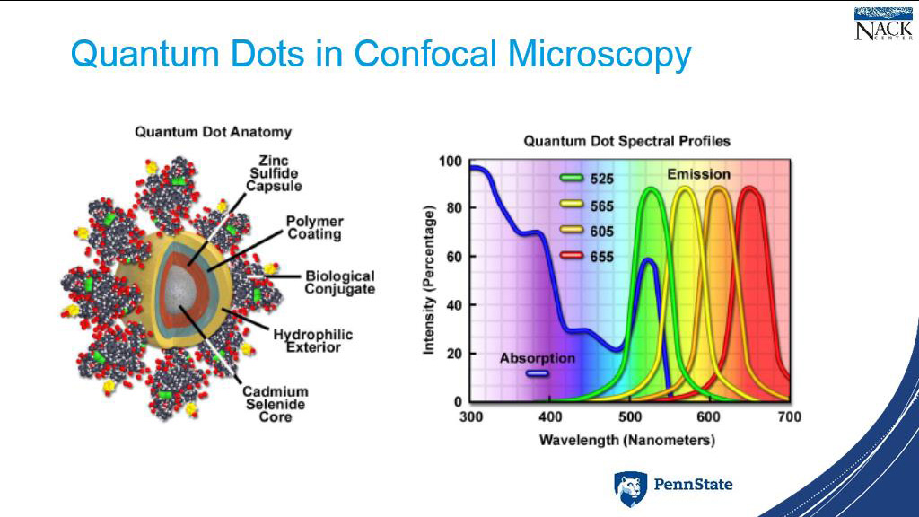 Quantum Dots in Confocal Microscopy