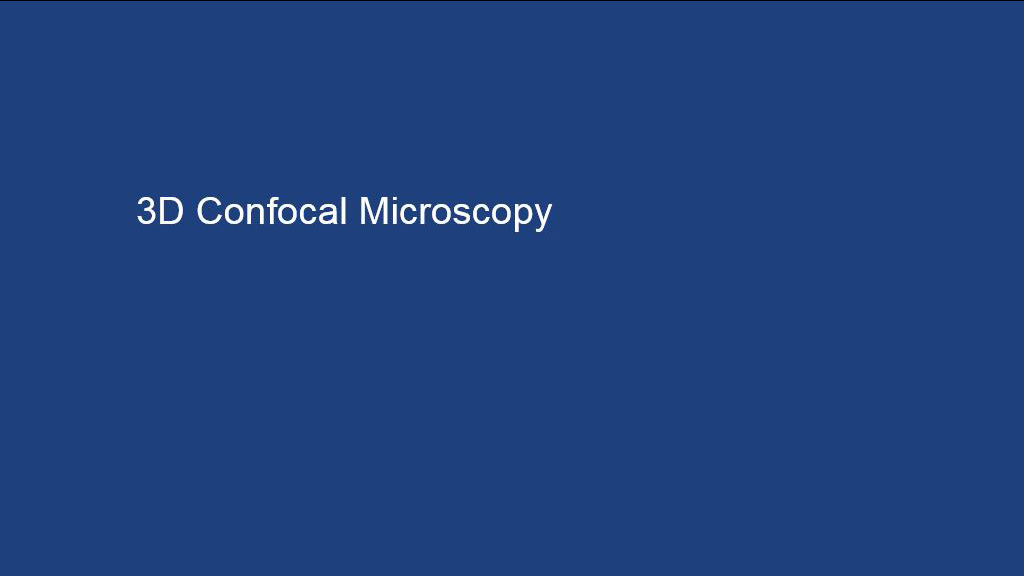 3D Confocal Microscopy