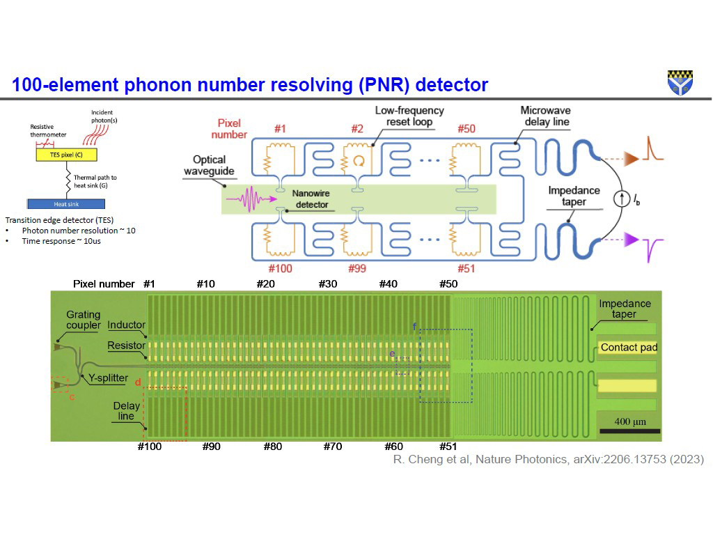 100-element phonon number resolving (PNR) detector