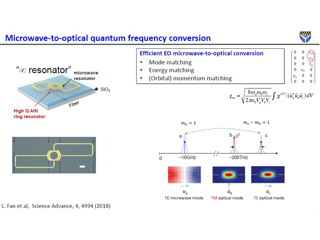 Microwave-to-optical quantum frequency conversion