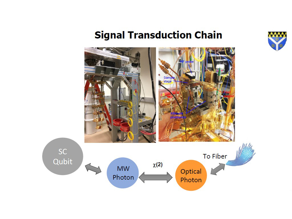 Signal Transduction Chain