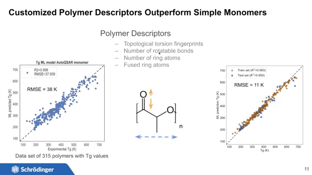 Customized Polymer Descriptors Outperform Simple Monomers