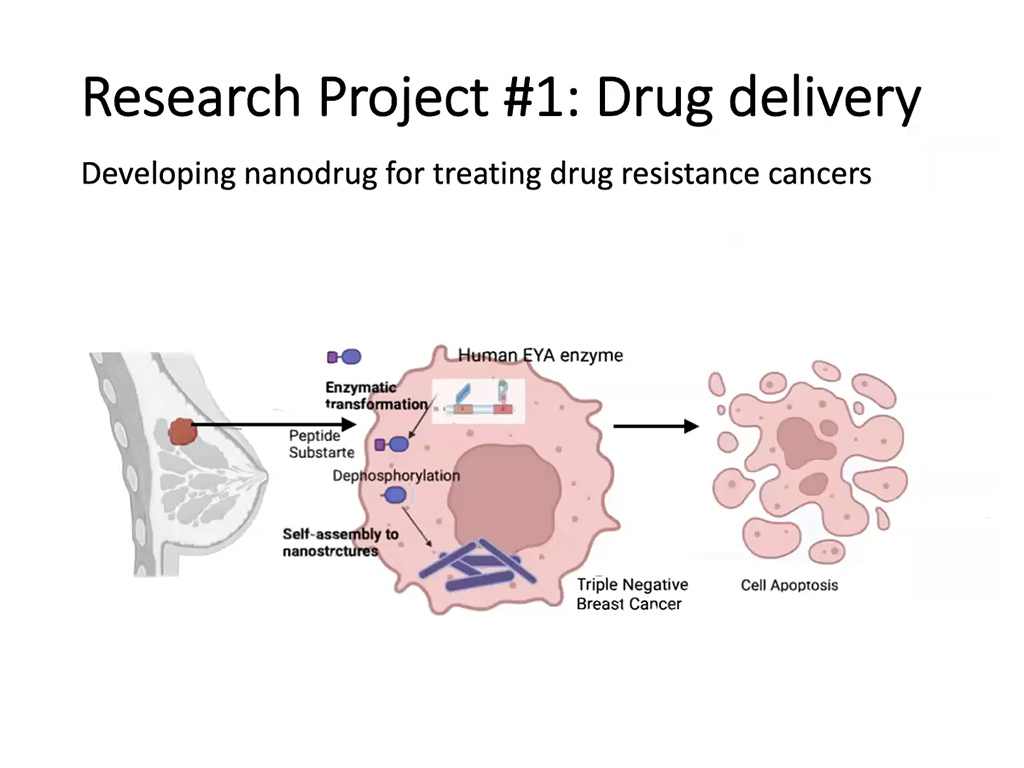 Research Project #1: Drug Delivery