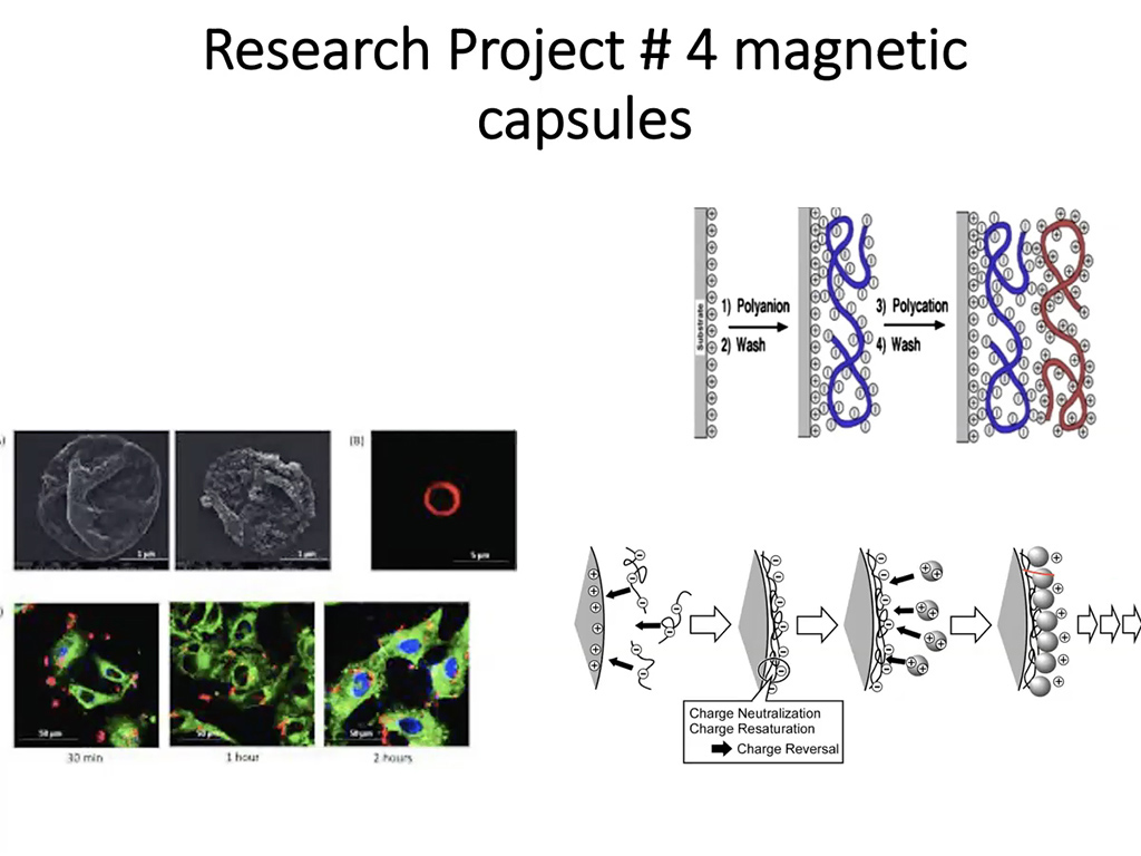 Research Project #4: Magnetic Capsules