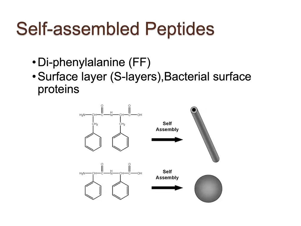 Self-assembled Peptides