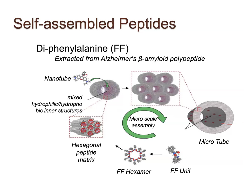 Self-assembled Peptides