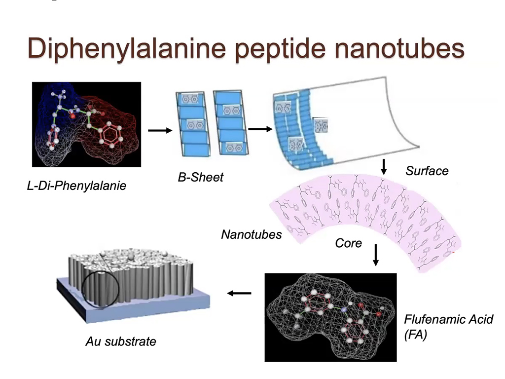 Diphenylalanine peptide nanotubes