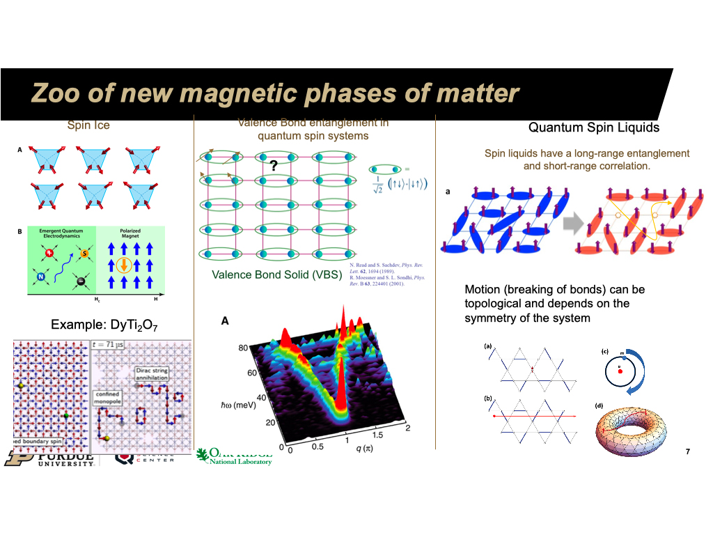 Zoo of new magnetic phases of matter
