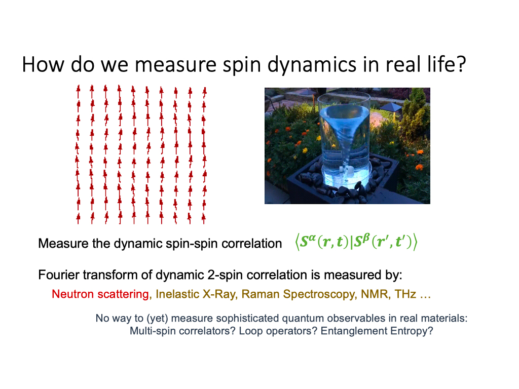 How do we measure spin dynamics in real life?