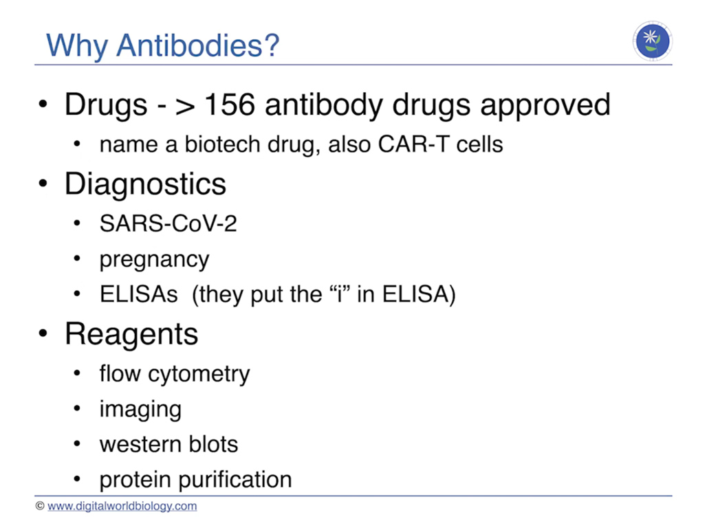 Why Antibodies?