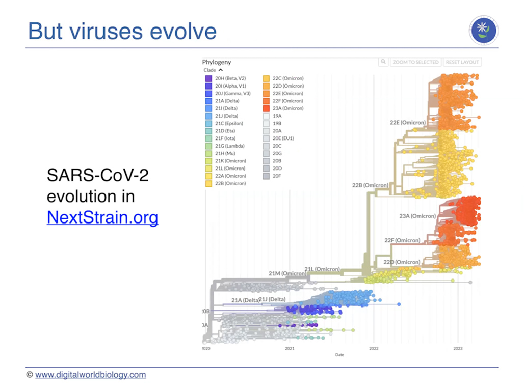 But viruses evolve