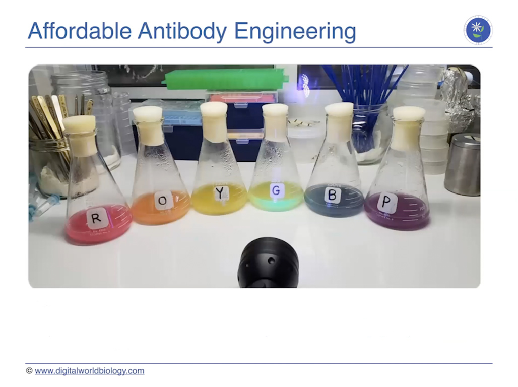 Affordable Antibody Engineering